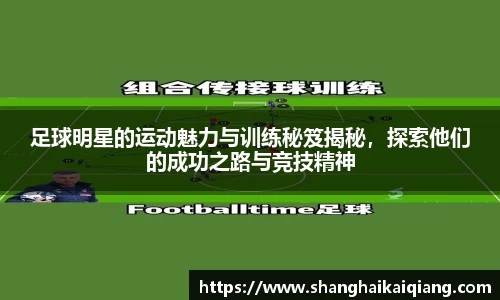 足球明星的运动魅力与训练秘笈揭秘，探索他们的成功之路与竞技精神